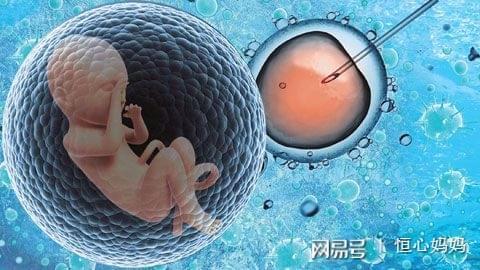 人工志愿者供卵咨询费用多少